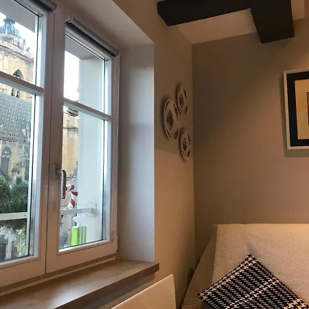 Apartment -bm Yerri- Typical And Cosy Apt With Cathedral View Colmar