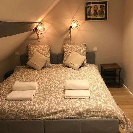 -bm Yerri- Typical And Cosy Apt With Cathedral View Colmar