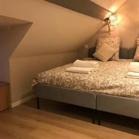 Apartment -bm Yerri- Typical And Cosy Apt With Cathedral View Colmar